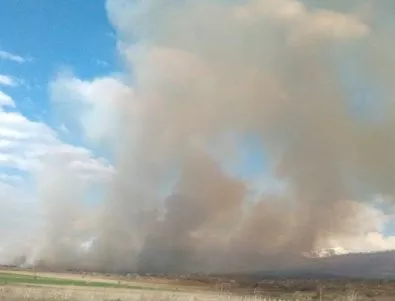Потушен е пожарът край Мурсалево и Е-79