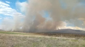 Паленето на огън в земеделски земи - строго забранено 