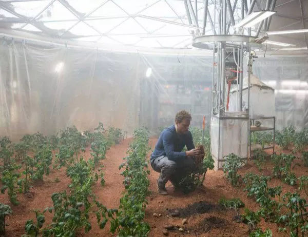 Учени отгледаха картофи "на Марс"