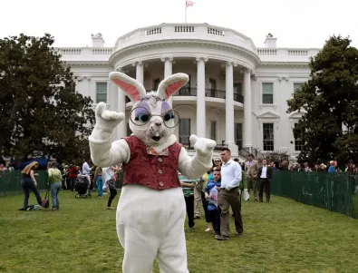 Пуснаха Великденски зайчета в Белия дом (ВИДЕО и СНИМКА)