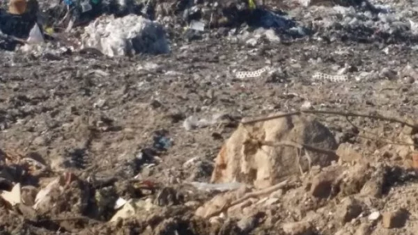 Жена е загинала при инцидент в депо за битови отпадъци в Плевенско