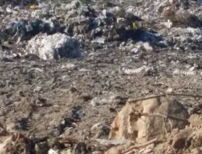 Нова криза с боклука край село Шереметя?