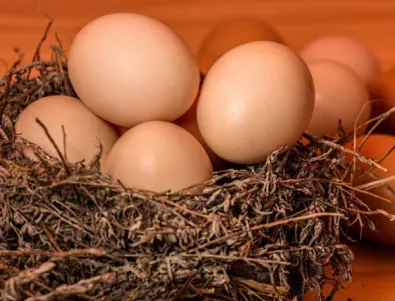 Яйчен меланж с фипронил открит в България 