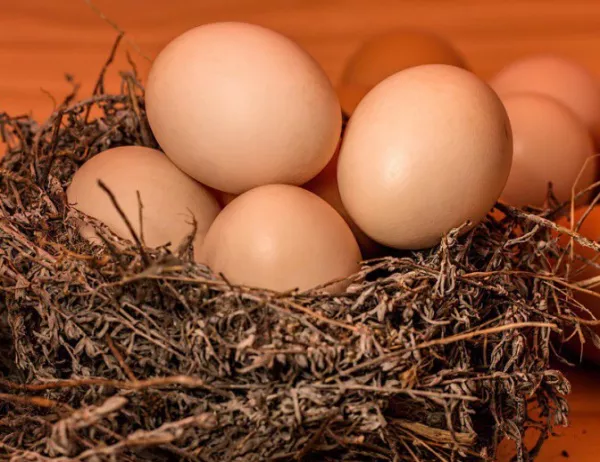 Откриха още 250 000 яйца с фипронил в пловдивски склад