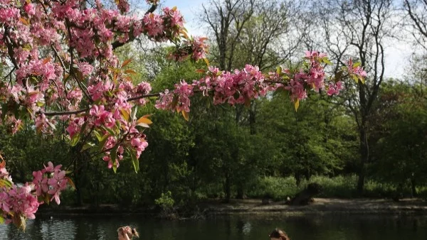 Прогноза за времето - 23 август (сряда)