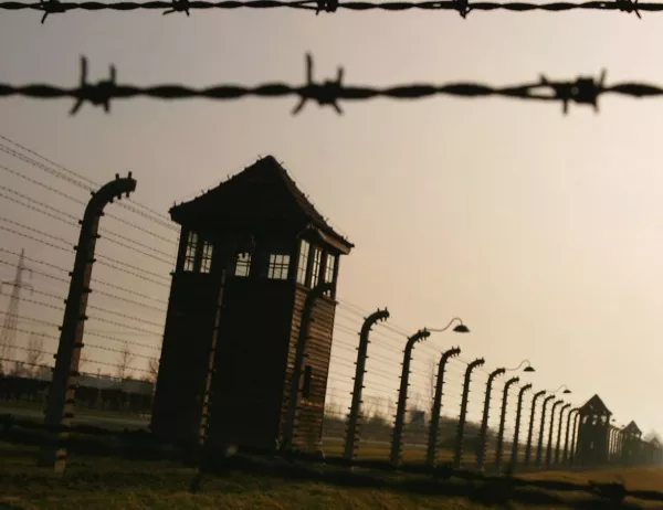 Германия осъди на затвор 88-годишна жена, отричала Холокоста