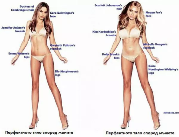 Неизвестните факти за женското тяло  