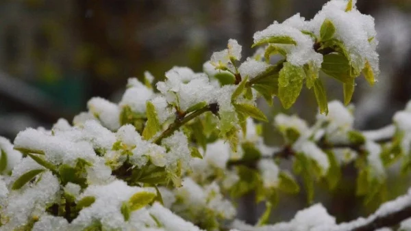 Прогноза за времето през ноември - чакаме и сняг