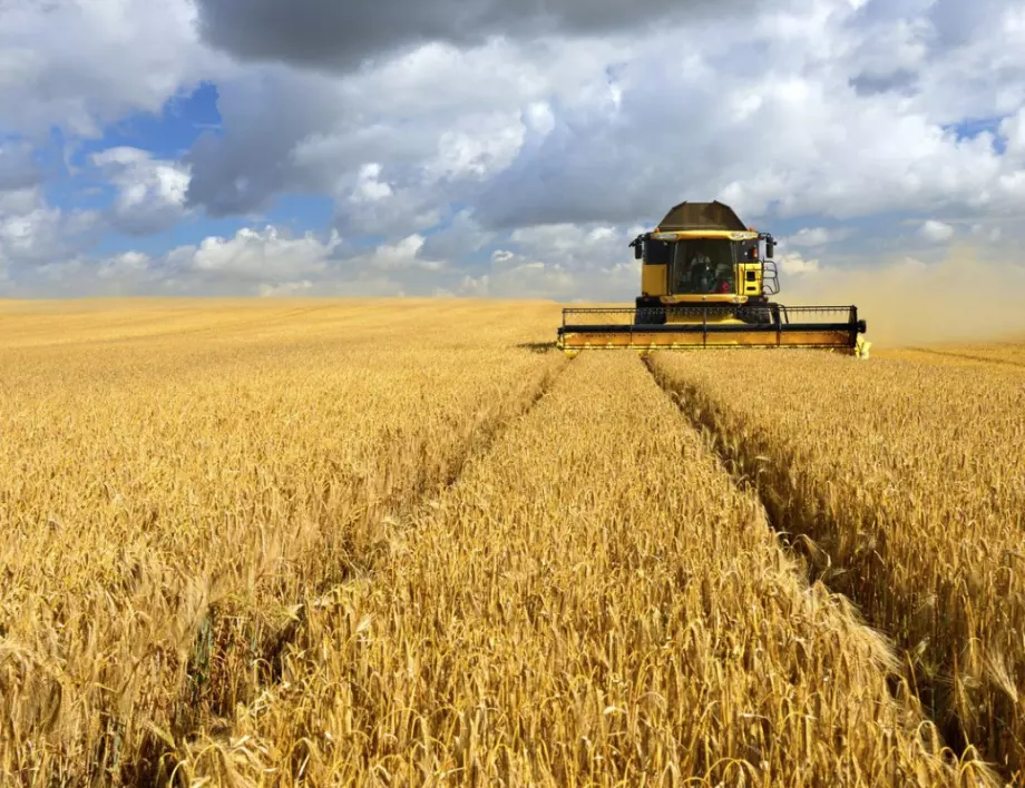 Продукцията в селското стопанство нарасна с 32% през тази година