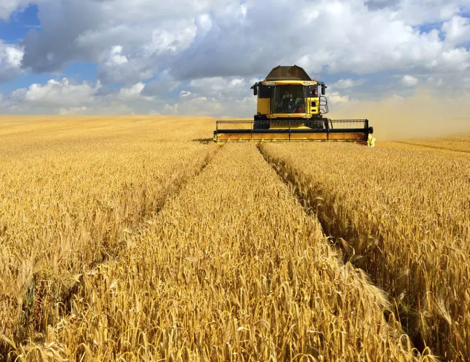 Украйна е изправена пред огромни загуби заради проблем с износа на зърно