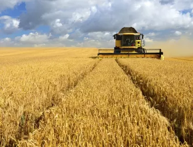 Доклад: 20% по-малка реколта от зърно тази година в Украйна ще доведе до огромна инфлация