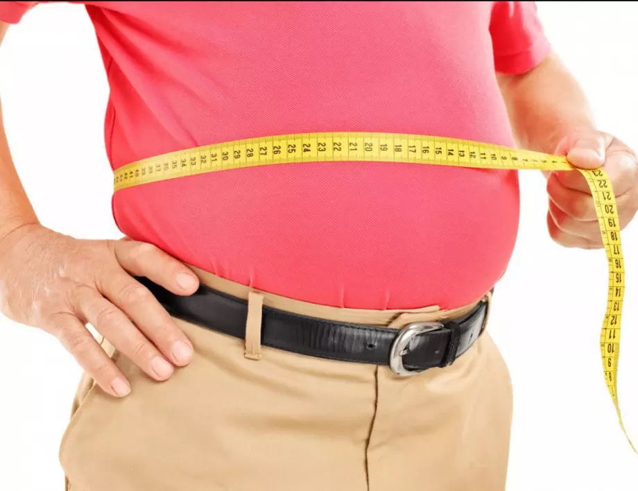 Учени разработили антитяло срещу затлъстяване