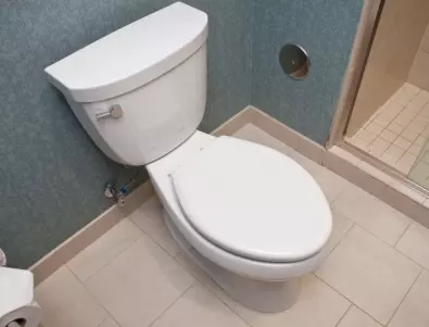 Лесен начин да почистите тоалетната чиния до блясък