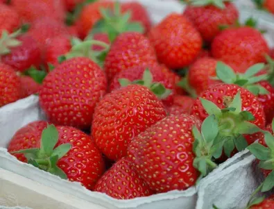 Как да съхраняваме ягодите, за да запазим свежестта им?