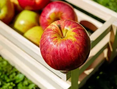 Как опитните градинари се справят с изсъхването на листата на ябълките и крушите?
