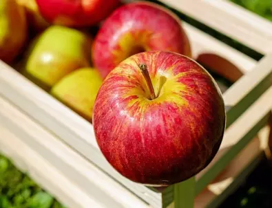 Опитните градинари знаят как да съхранят крушите и ябълките до лятото