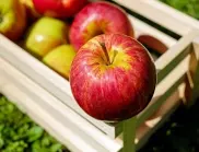 Лекар каза какво ще се случи с тялото ви, ако ядете по една ябълка дневно