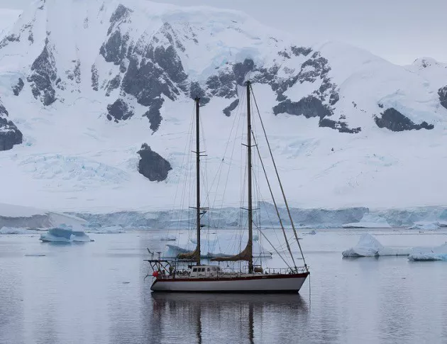 Двойно повече туристи ще посетят Антарктида
