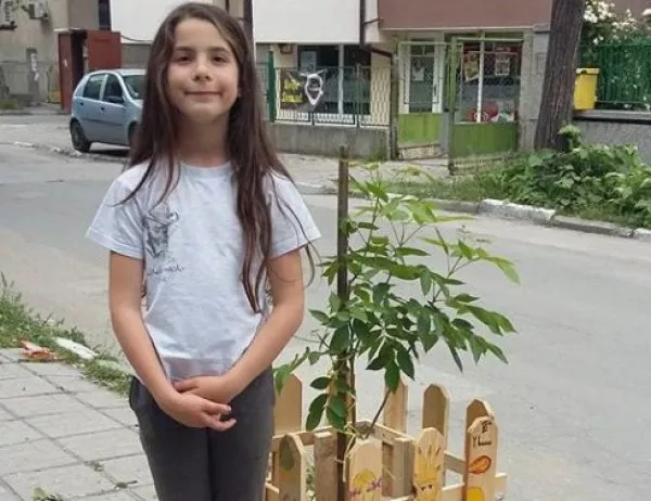 Деца засадиха дървета пред училището си и ги заградиха с изрисувани огради