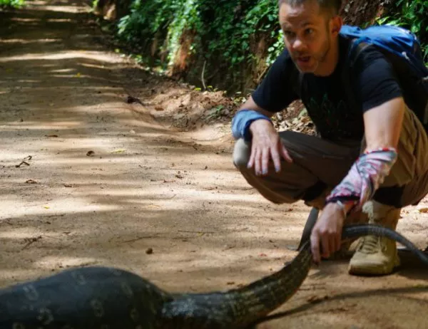 Близки среща с индийска кобра в епизод 6 на "Диви същества с Доминик Монахан" по VIASAT Nature