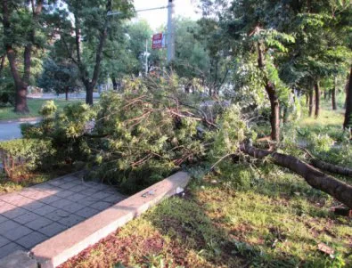 Заради силна буря в една община в Русенско е обявено бедствено положение