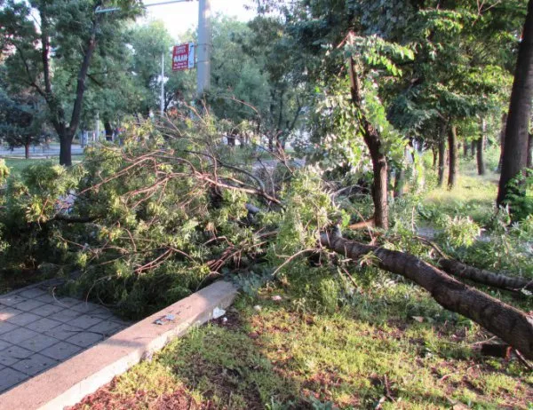 Аварийни екипи наблюдават за проблеми, предизвикани от бурята в София