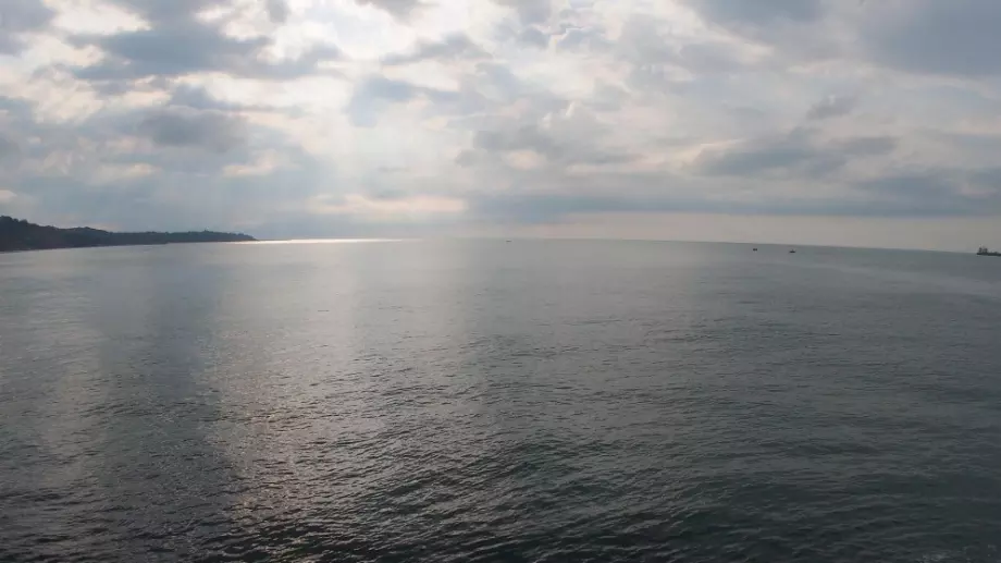 Обучиха 1200 доброволци да следят за замърсяване на водите, вливащи се в Черно море