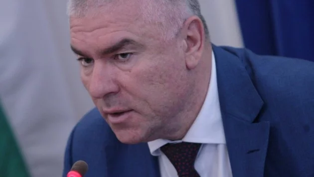 Ако доскоро министър-председателят си имаше любимци пуделчета, сега явно се е пренастроил и минава към прасенца