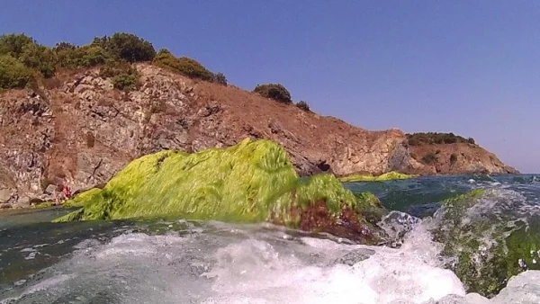 Прогноза за времето - 24 август (четвъртък)