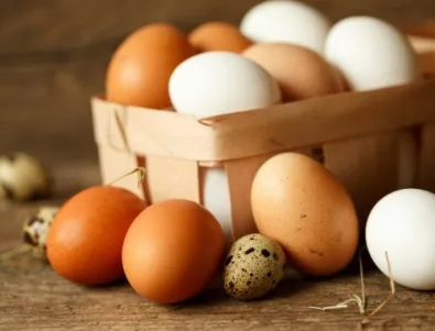 Огромен омлет в Белгия - напук на кризата със заразените яйца