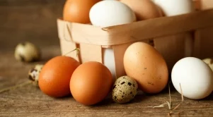 Яйцата в Швеция са 82% по-скъпи от тези в България 