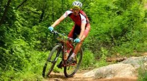 Спортът по телевизията днес