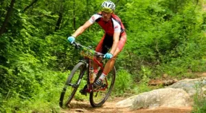 Спортът по телевизията днес