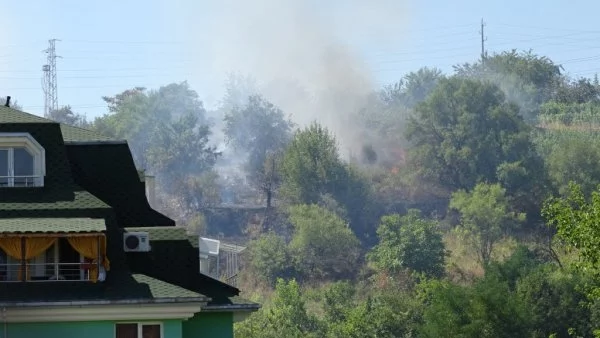 Пожар зад университета в Благоевград