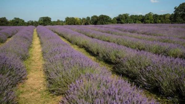 Прогноза за времето - 8 юли (събота)