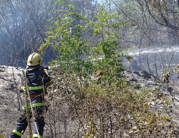 Пожар изпепели къщи в монтанското село Савотин, няма пострадали 