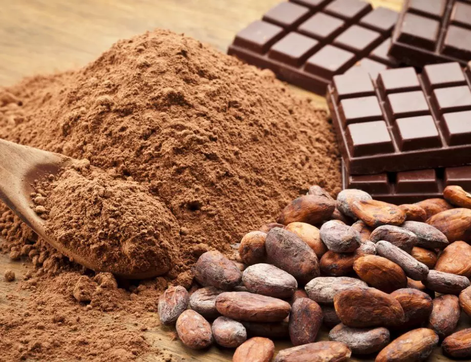 Застрашен ли добивът на какао?