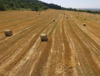 В Добрич ще учат фермерите как да задържат влагата в почвата