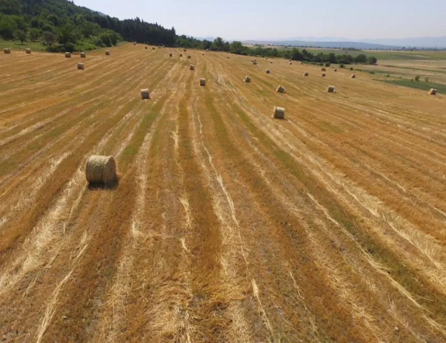 ВМРО предлага нов данък за едрите земевладелци