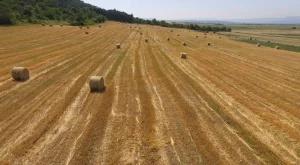 Стотици хиляди българи работят "на черно" в селското стопанство в ЕС