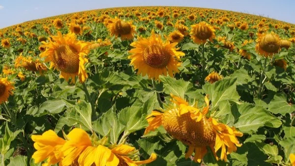 Прогноза за времето - 29 август (сряда)