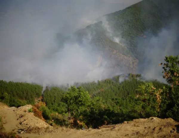 700 декара гора горят край Кресна, половината от нея бял бор