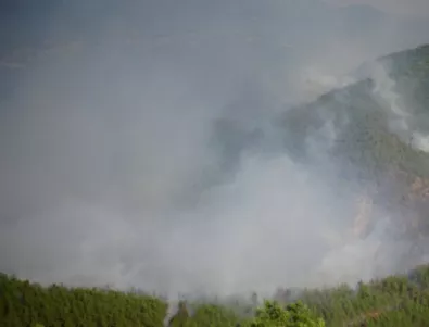 Не са потушени пожарите в Бургаско и Пловдивско