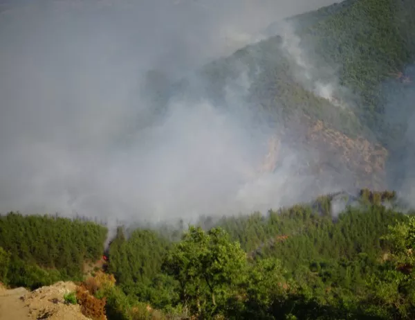 С 18 – 20% са се увеличили пожарите в област Благоевград това лято