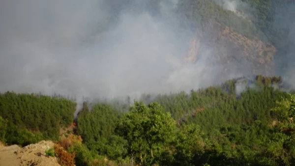 С 18 – 20% са се увеличили пожарите в област Благоевград това лято