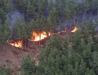 Сериозен пожар в Черна гора доведе до голяма евакуация