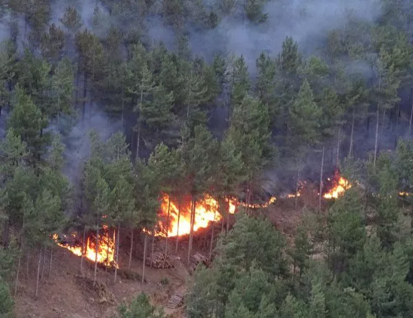 Близо 400 пожарникари се борят с огньовете край Сплит