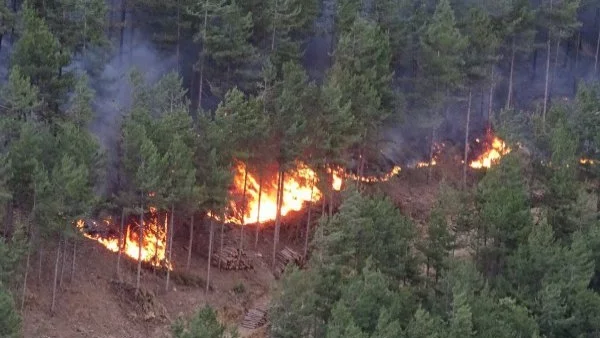 Близо 400 пожарникари се борят с огньовете край Сплит