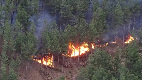 Пожар близо до карнобатско село, няма пострадали