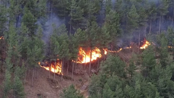 Пожар в района на бургаското село Изворище, горят около 300 дка площ